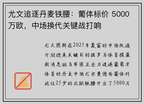 尤文追逐丹麦铁腰：葡体标价 5000 万欧，中场换代关键战打响