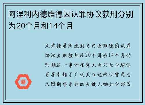 阿涅利内德维德因认罪协议获刑分别为20个月和14个月